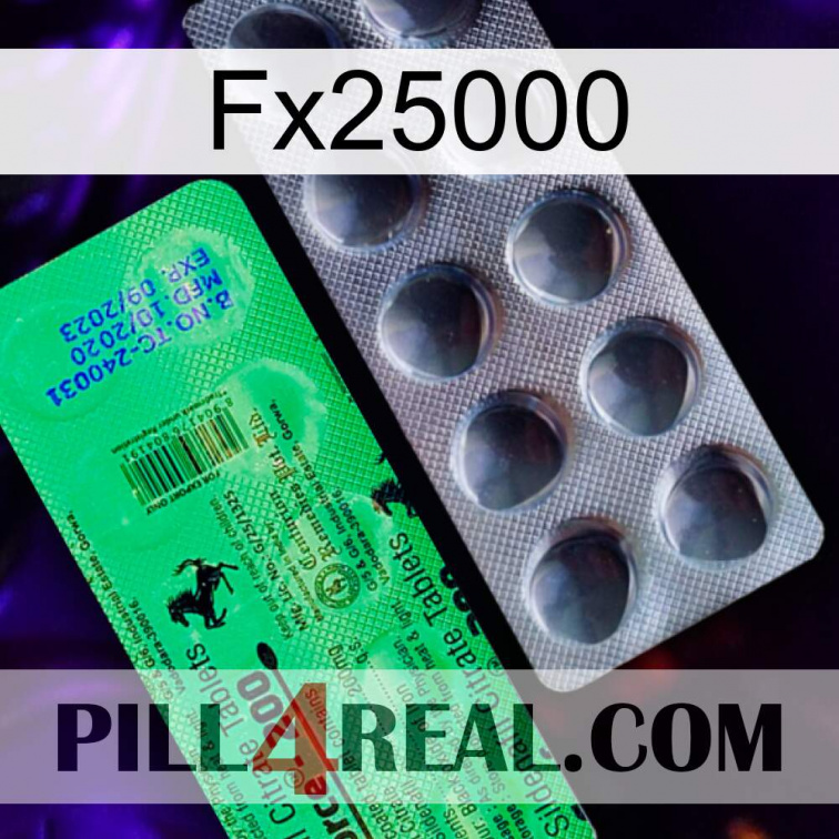 Fx25000 new04